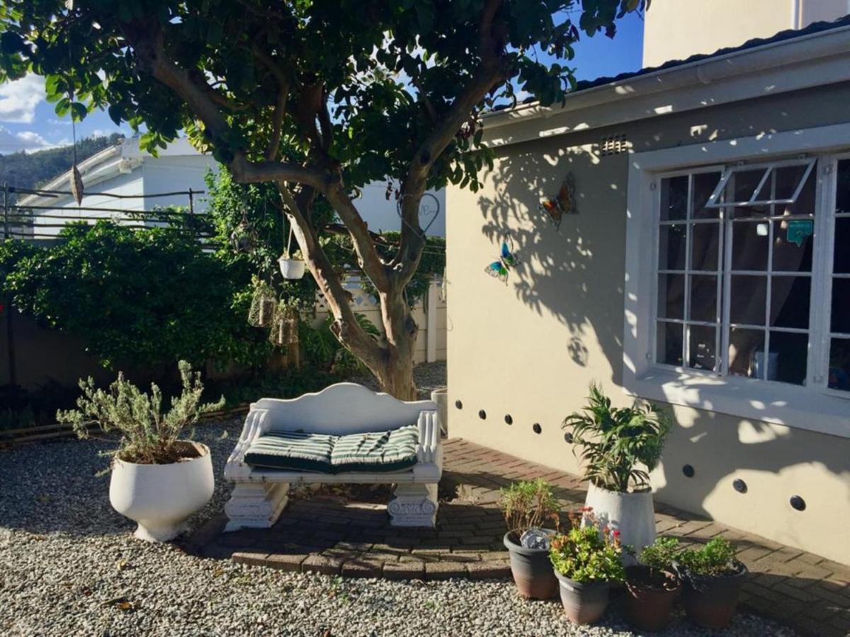 Jembjo'S Knysna Lodge & Backpackers Exterior foto